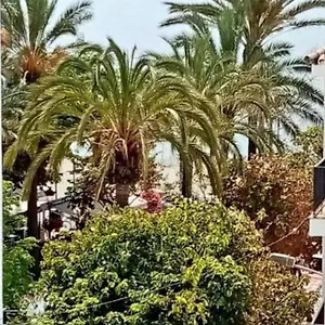 Old Town Appartement Estepona